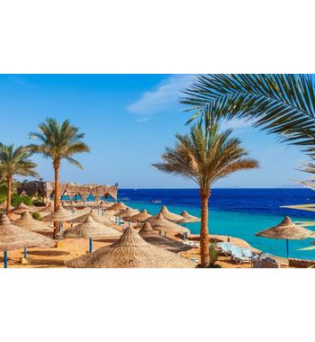 Тур в Шарм-эль-Шейх (Египет)